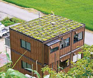屋上緑化